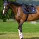 Tommy Hilfiger Equestrian Columbia Zadeldek Zadeldoeken - Maddelin Equestrian Tommy Hilfiger Equestrian