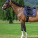 Tommy Hilfiger Equestrian Columbia Zadeldek Zadeldoeken - Maddelin Equestrian Tommy Hilfiger Equestrian