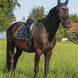 Tommy Hilfiger Equestrian Kingston Zadeldek Zadeldoeken - Maddelin Equestrian Tommy Hilfiger Equestrian