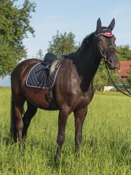 Tommy Hilfiger Equestrian Kingston Zadeldek Zadeldoeken - Maddelin Equestrian Tommy Hilfiger Equestrian