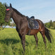 Tommy Hilfiger Equestrian Kingston Zadeldek Zadeldoeken - Maddelin Equestrian Tommy Hilfiger Equestrian