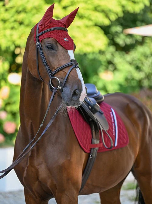 Tommy Hilfiger Equestrian Lexington Oornetje Oornetjes - Maddelin Equestrian Tommy Hilfiger Equestrian