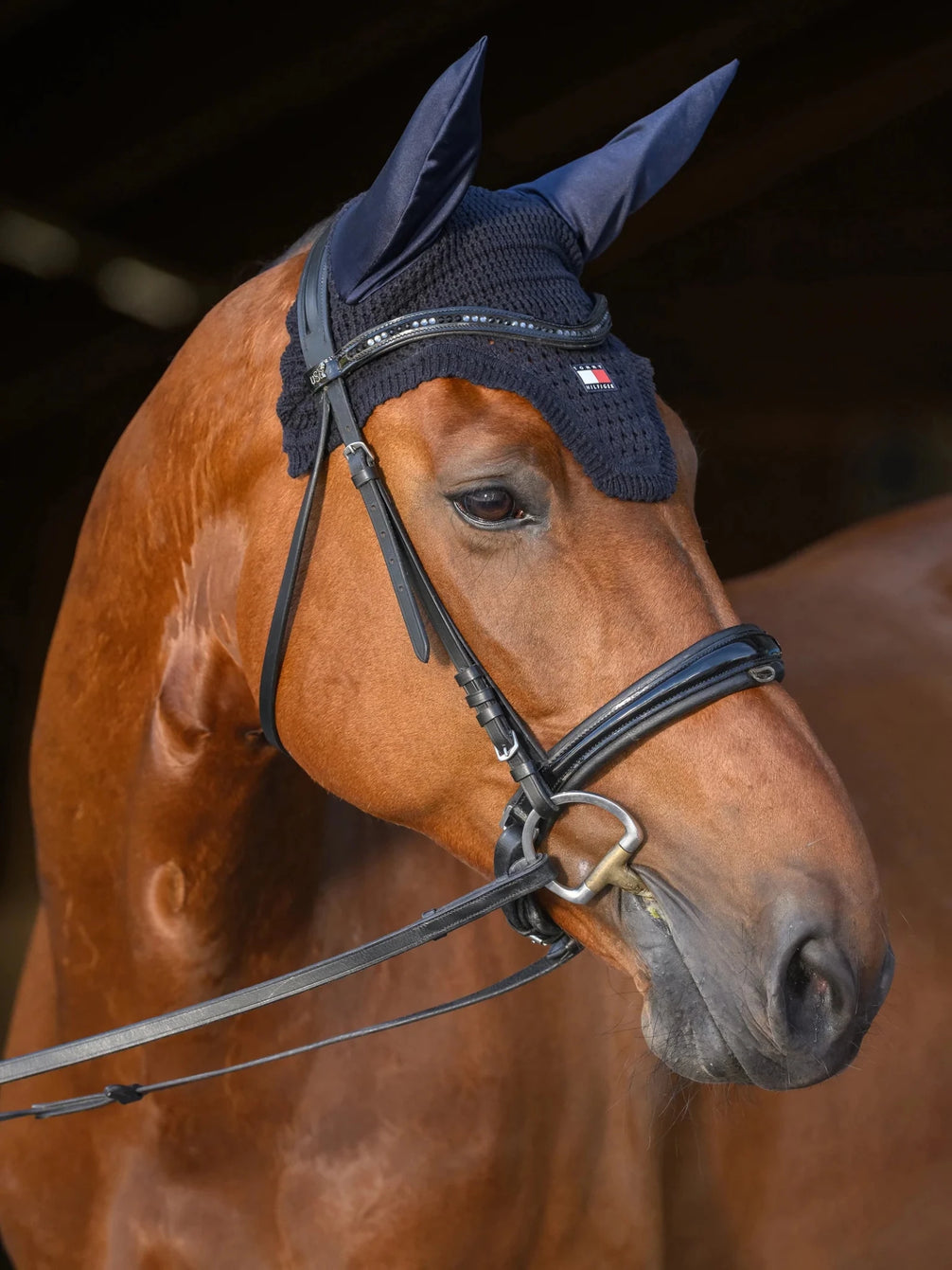 Tommy Hilfiger Equestrian Lexington Oornetje Oornetjes - Maddelin Equestrian Tommy Hilfiger Equestrian
