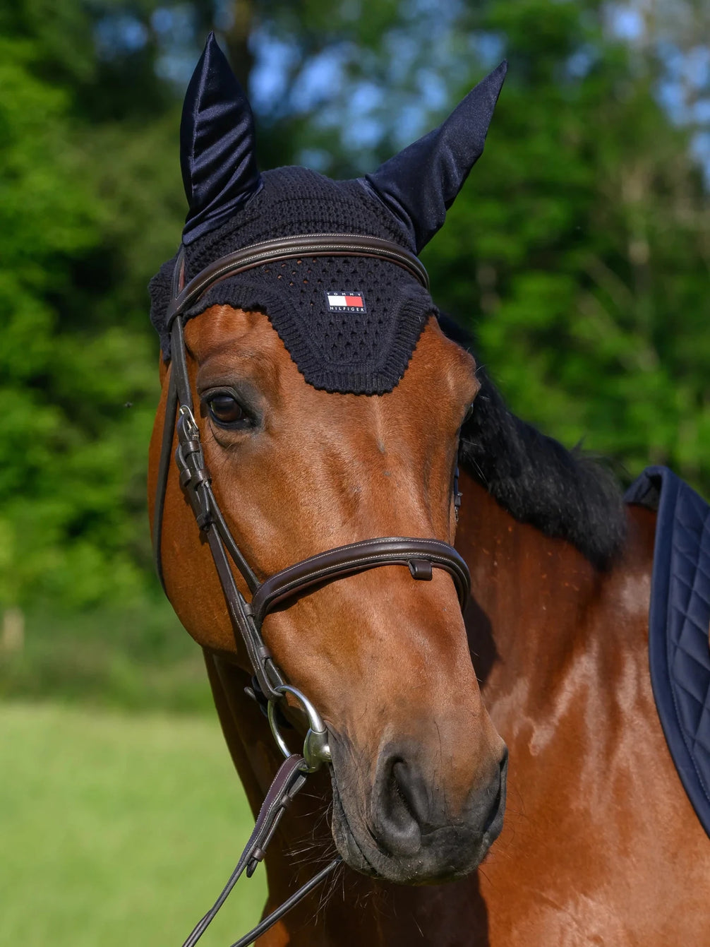 Tommy Hilfiger Equestrian Lexington Oornetje Oornetjes - Maddelin Equestrian Tommy Hilfiger Equestrian