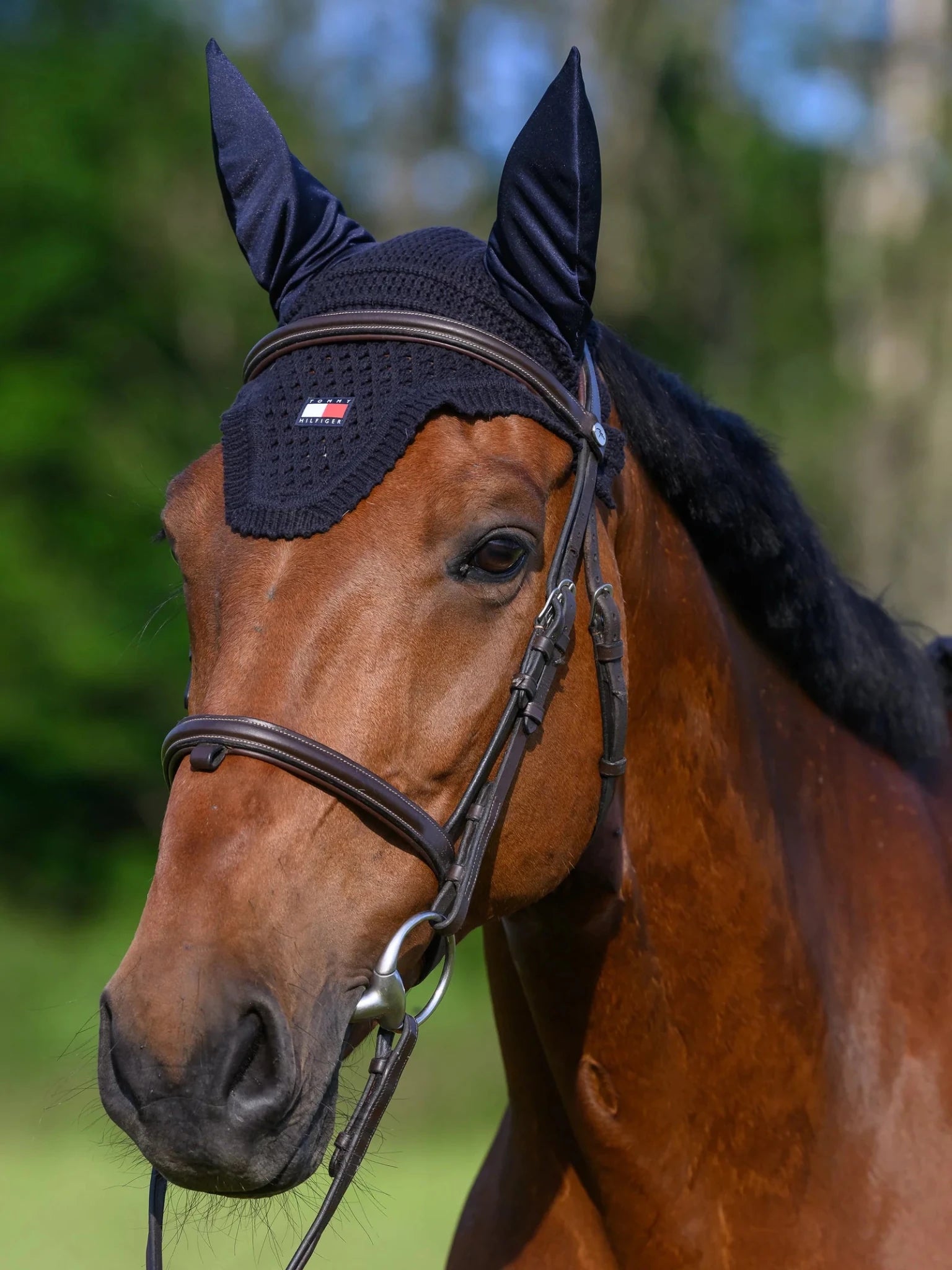 Tommy Hilfiger Equestrian Lexington Oornetje Oornetjes - Maddelin Equestrian Tommy Hilfiger Equestrian