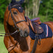 Tommy Hilfiger Equestrian Lexington Oornetje Oornetjes - Maddelin Equestrian Tommy Hilfiger Equestrian