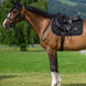 Tommy Hilfiger Equestrian Liberty Zadeldek Zadeldoeken - Maddelin Equestrian Tommy Hilfiger Equestrian