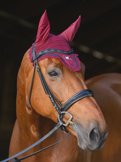 Tommy Hilfiger Equestrian Oxford Oornetje Oornetjes - Maddelin Equestrian Tommy Hilfiger Equestrian