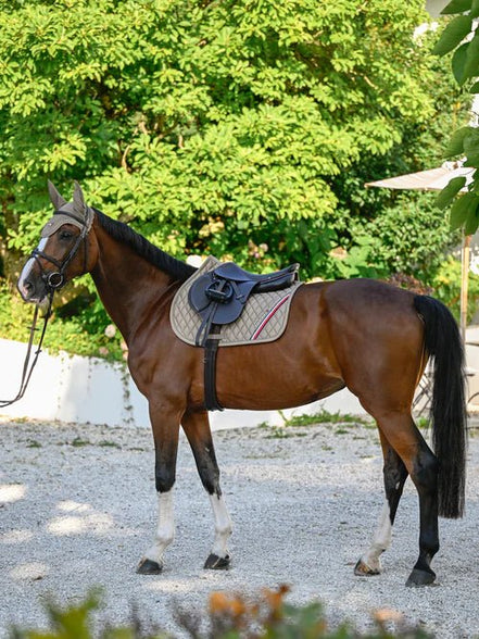 Tommy Hilfiger Equestrian Stanford Jump Zadeldek Zadeldoeken - Maddelin Equestrian Tommy Hilfiger Equestrian