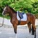 Tommy Hilfiger Equestrian Upstate Zadeldek Zadeldoeken - Maddelin Equestrian Tommy Hilfiger Equestrian