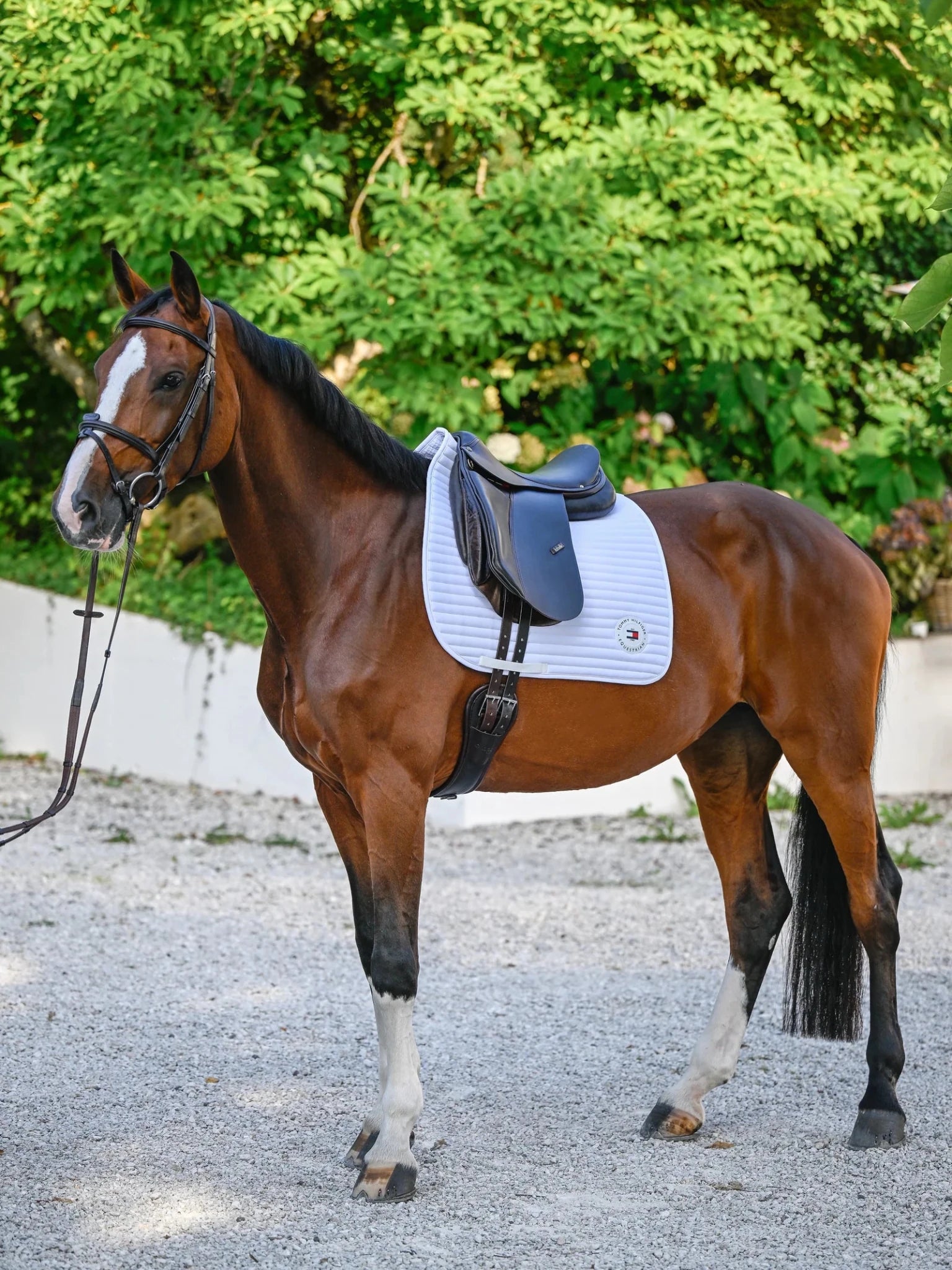 Tommy Hilfiger Equestrian Upstate Zadeldek Zadeldoeken - Maddelin Equestrian Tommy Hilfiger Equestrian