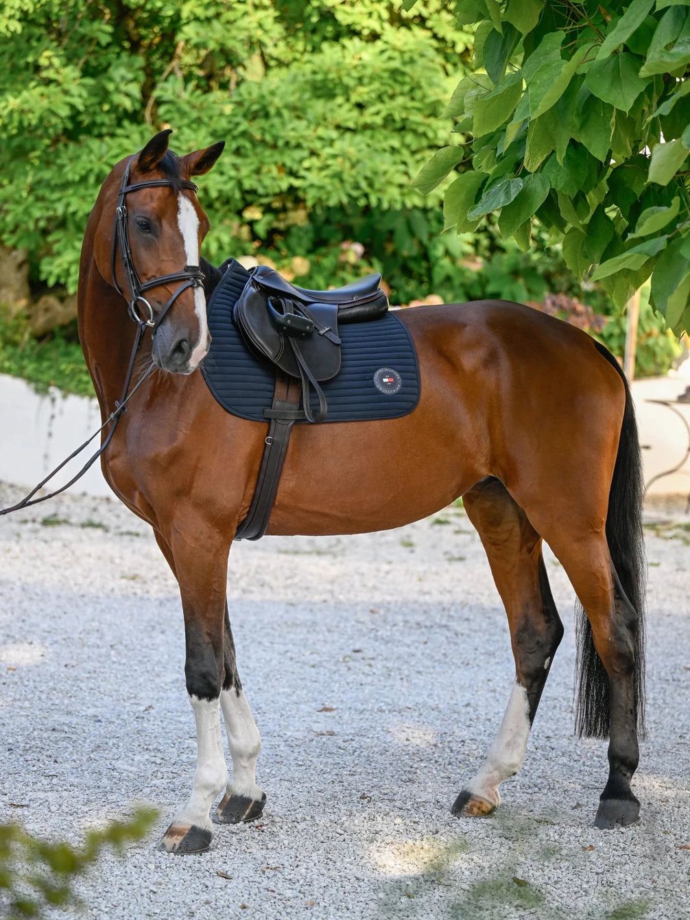 Tommy Hilfiger Equestrian Upstate Zadeldek Zadeldoeken - Maddelin Equestrian Tommy Hilfiger Equestrian