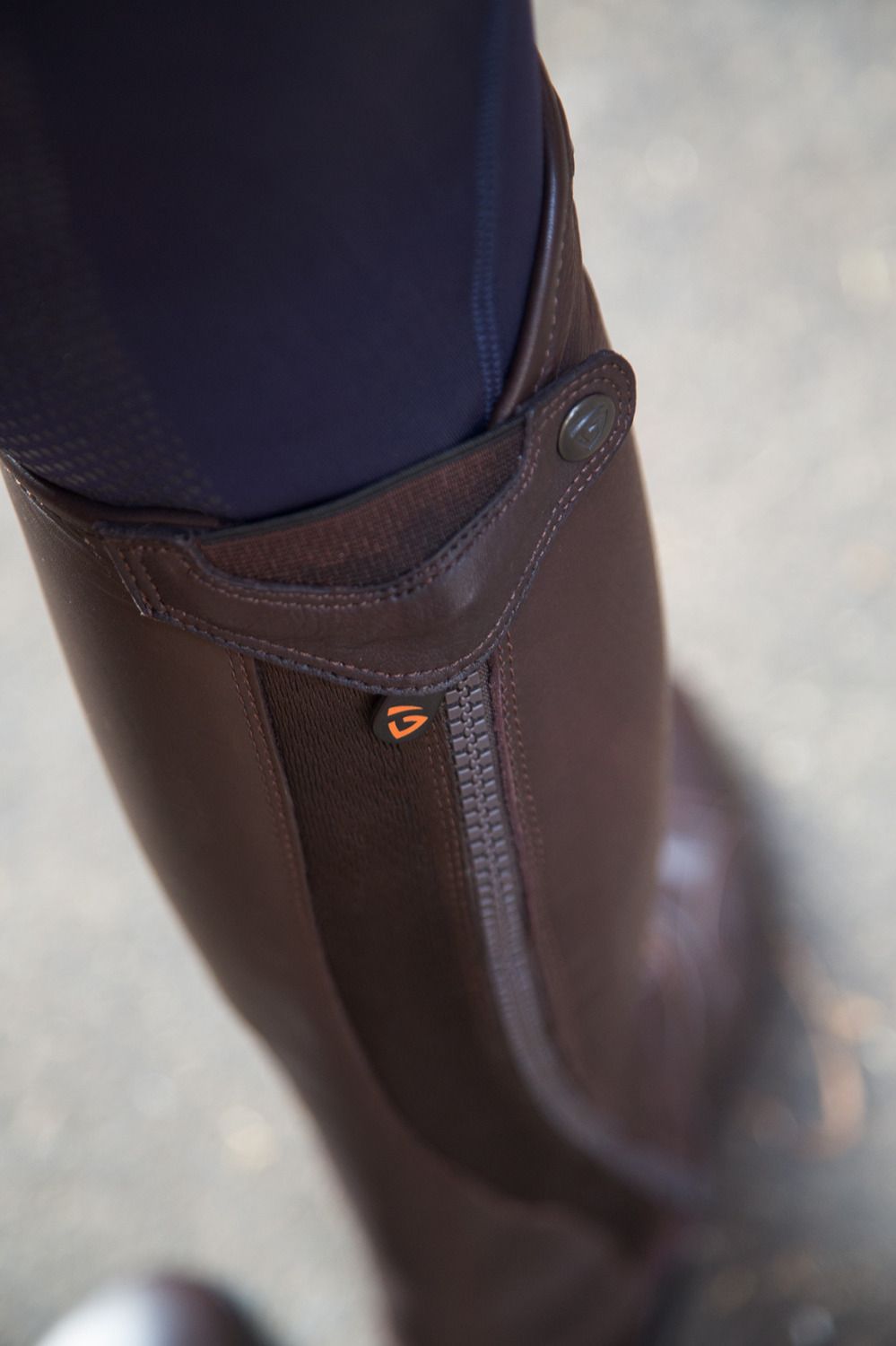 Tonics Sirius Chaps Chaps - Maddelin Equestrian Tonics