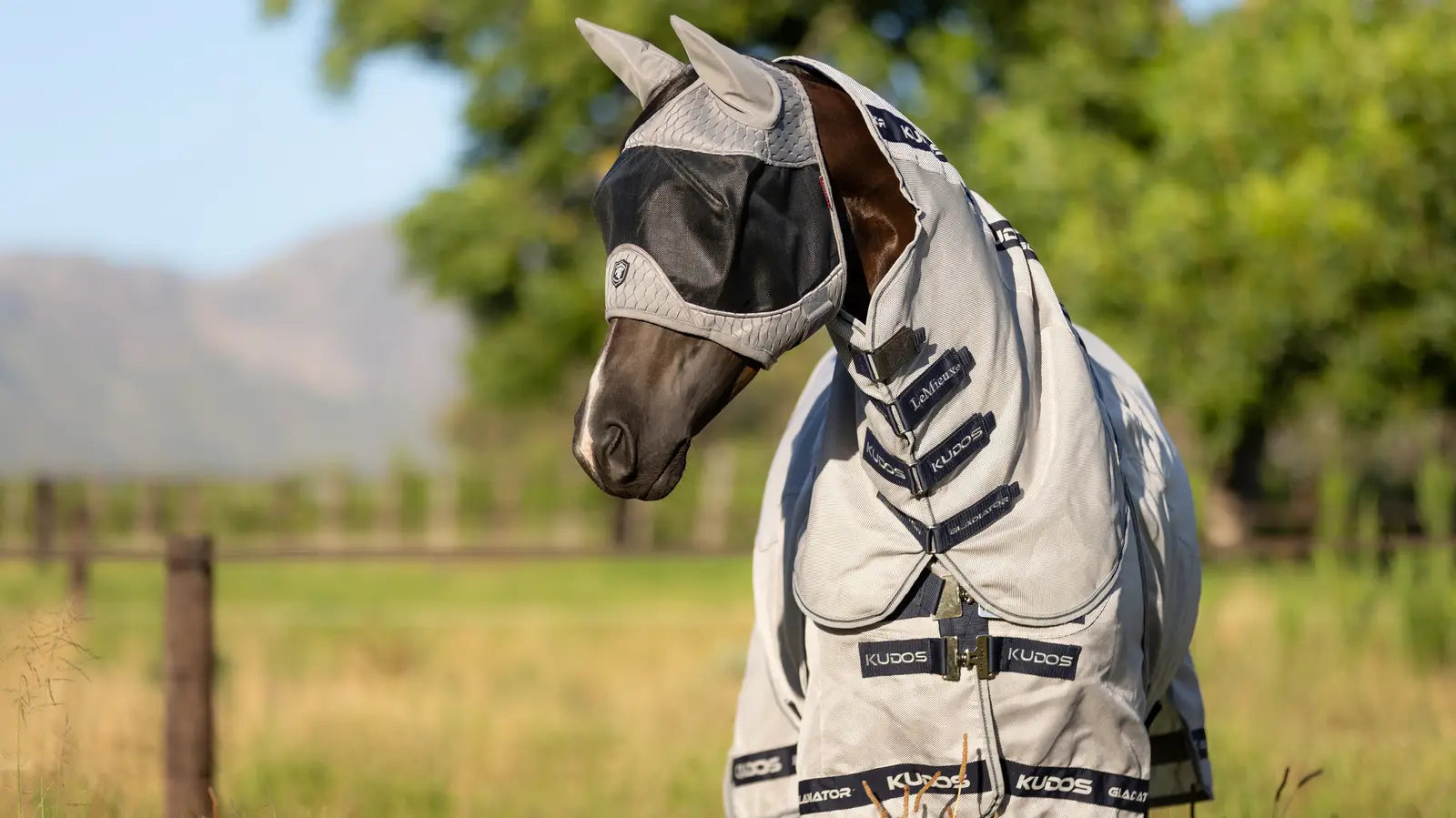 LeMieux Gladiator Fly Mask