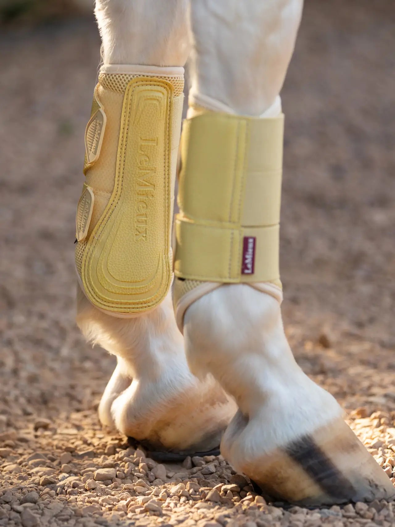LeMieux Arika Mesh Beenbeschermers SS25 – detailfoto 2
