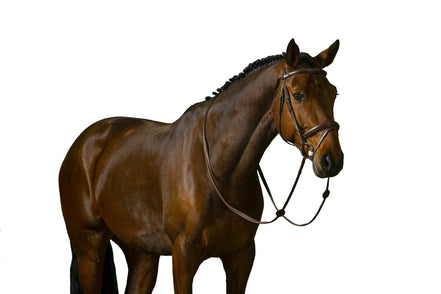 Trust Amsterdam Combined Noseband Hoofdstel Anatomic Trenshoofdstellen - Maddelin Equestrian Trust