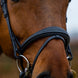 Trust Amsterdam Combined Noseband Hoofdstel Anatomic Trenshoofdstellen - Maddelin Equestrian Trust