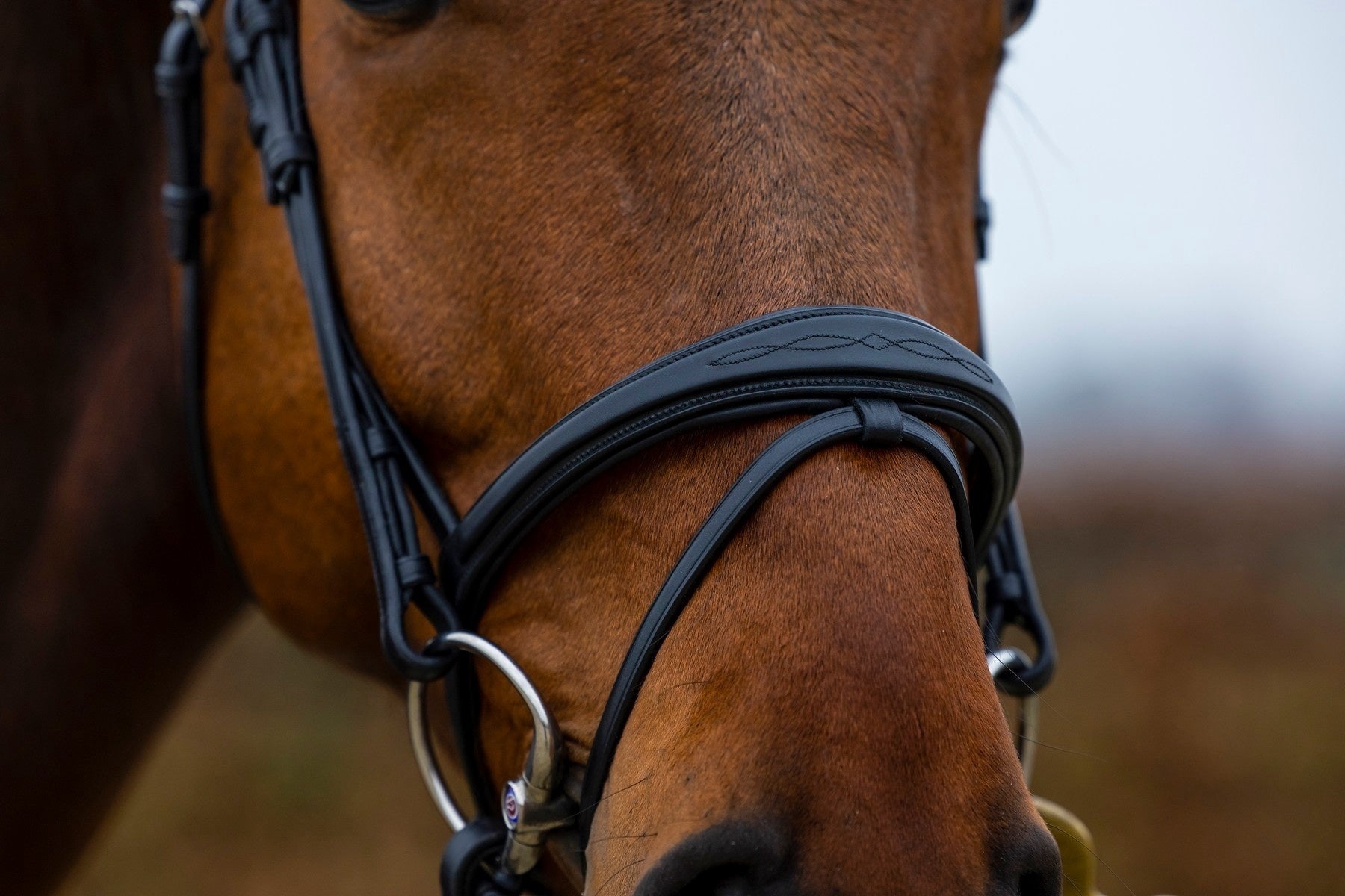 Trust Amsterdam Combined Noseband Hoofdstel Anatomic Trenshoofdstellen - Maddelin Equestrian Trust