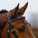 Trust Amsterdam Combined Noseband Hoofdstel Anatomic Trenshoofdstellen - Maddelin Equestrian Trust