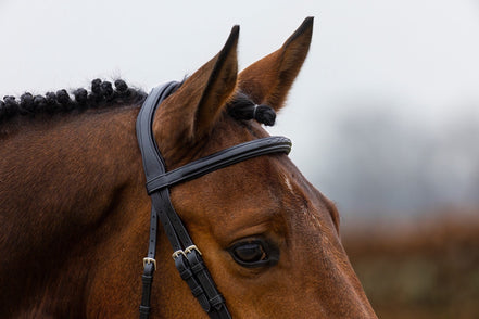 Trust Amsterdam Combined Noseband Hoofdstel Anatomic Trenshoofdstellen - Maddelin Equestrian Trust