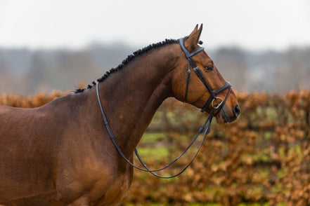 Trust Amsterdam Combined Noseband Hoofdstel Anatomic Trenshoofdstellen - Maddelin Equestrian Trust
