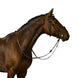 Trust Amsterdam Combined Noseband Hoofdstel Anatomic Trenshoofdstellen - Maddelin Equestrian Trust