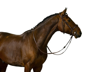 Trust Amsterdam Combined Noseband Hoofdstel Anatomic Trenshoofdstellen - Maddelin Equestrian Trust