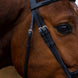 Trust Amsterdam Combined Noseband Hoofdstel Anatomic Trenshoofdstellen - Maddelin Equestrian Trust