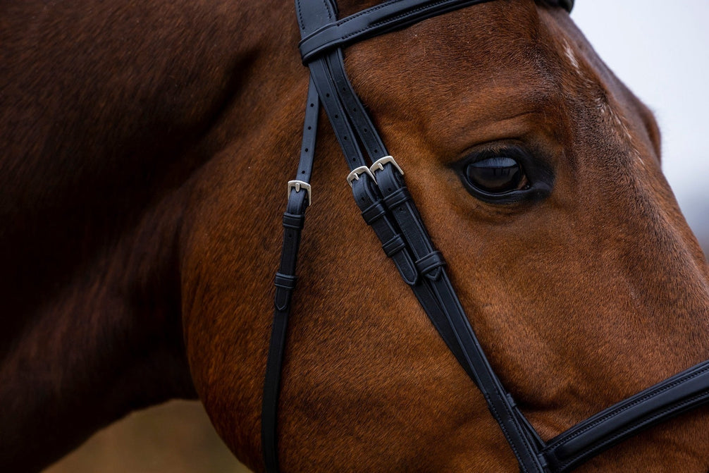 Trust Amsterdam Combined Noseband Hoofdstel Anatomic Trenshoofdstellen - Maddelin Equestrian Trust