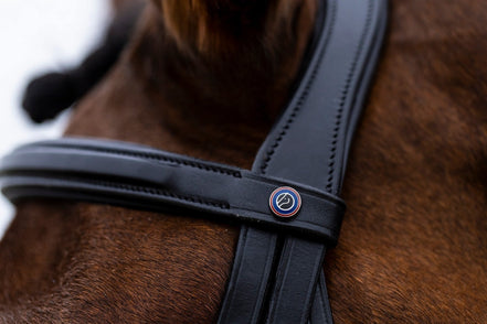 Trust Amsterdam Combined Noseband Hoofdstel Anatomic Trenshoofdstellen - Maddelin Equestrian Trust