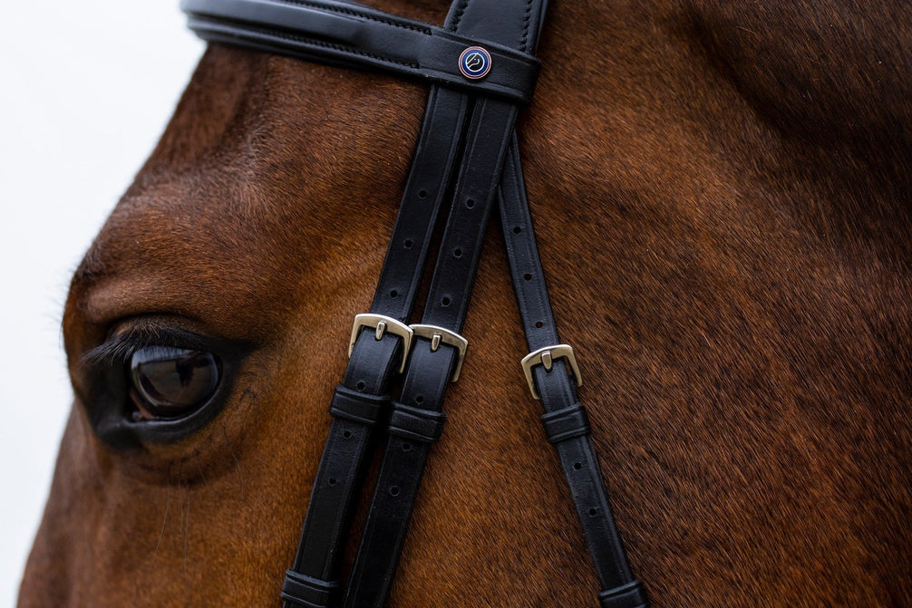 Trust Amsterdam Combined Noseband Hoofdstel Anatomic Trenshoofdstellen - Maddelin Equestrian Trust