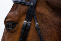 Trust Amsterdam Combined Noseband Hoofdstel Anatomic Trenshoofdstellen - Maddelin Equestrian Trust