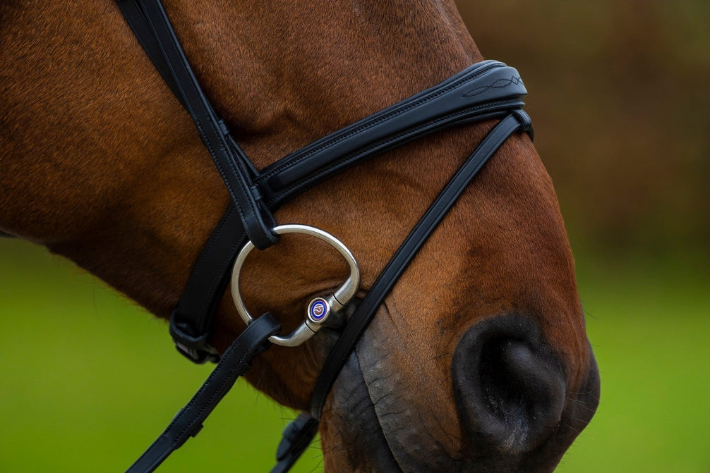 Trust Amsterdam Combined Noseband Hoofdstel Anatomic Trenshoofdstellen - Maddelin Equestrian Trust