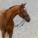 Trust Calgary Combined Noseband Hoofdstel Trenshoofdstellen - Maddelin Equestrian Trust
