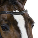 Trust Frontriem Black Diamants Frontriemen - Maddelin Equestrian Trust