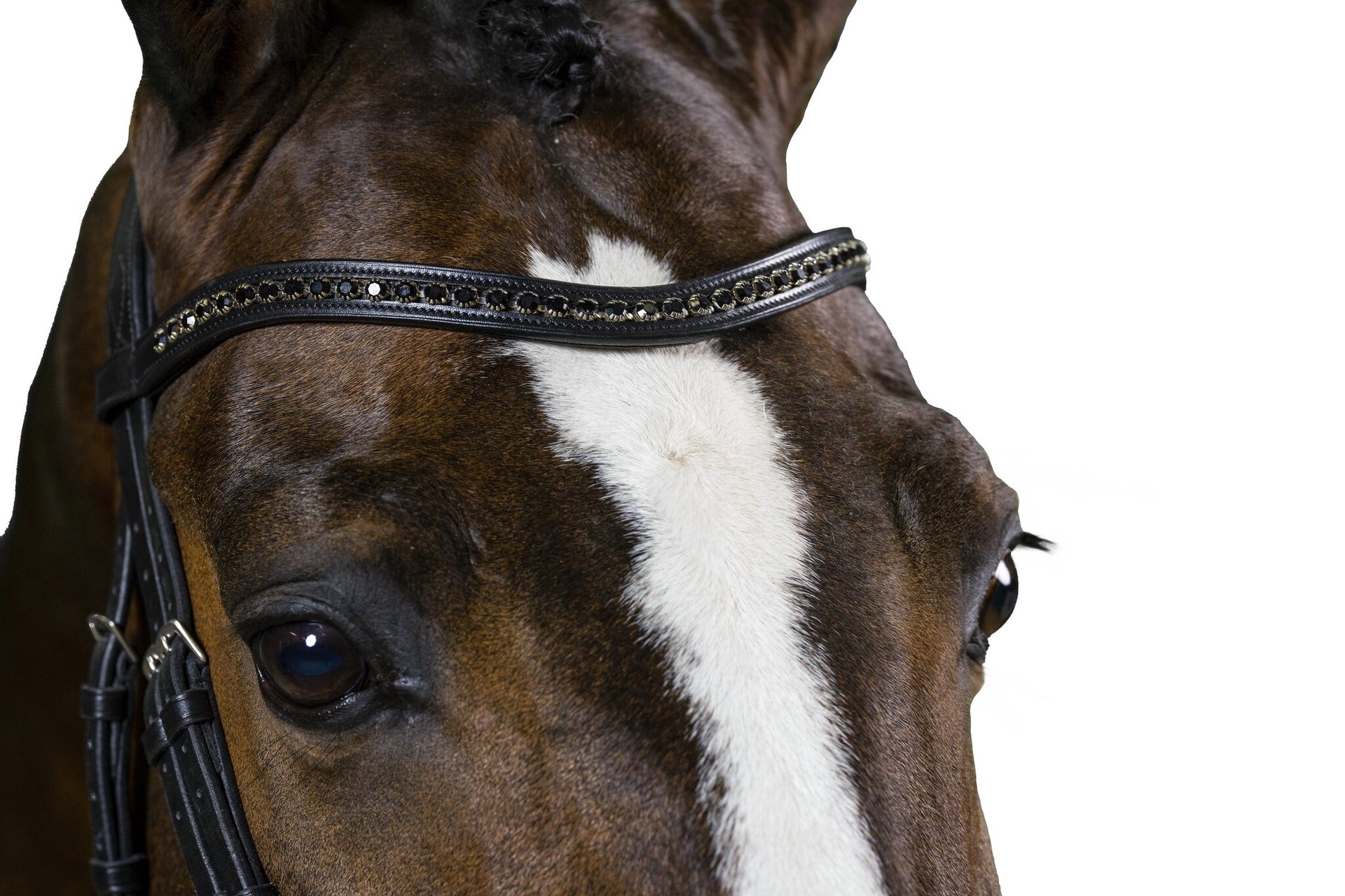 Trust Frontriem Black Diamants Frontriemen - Maddelin Equestrian Trust