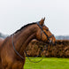 Trust Geneva Combined Noseband Hoofdstel Trenshoofdstellen - Maddelin Equestrian Trust