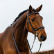 Trust Geneva Combined Noseband Hoofdstel Trenshoofdstellen - Maddelin Equestrian Trust