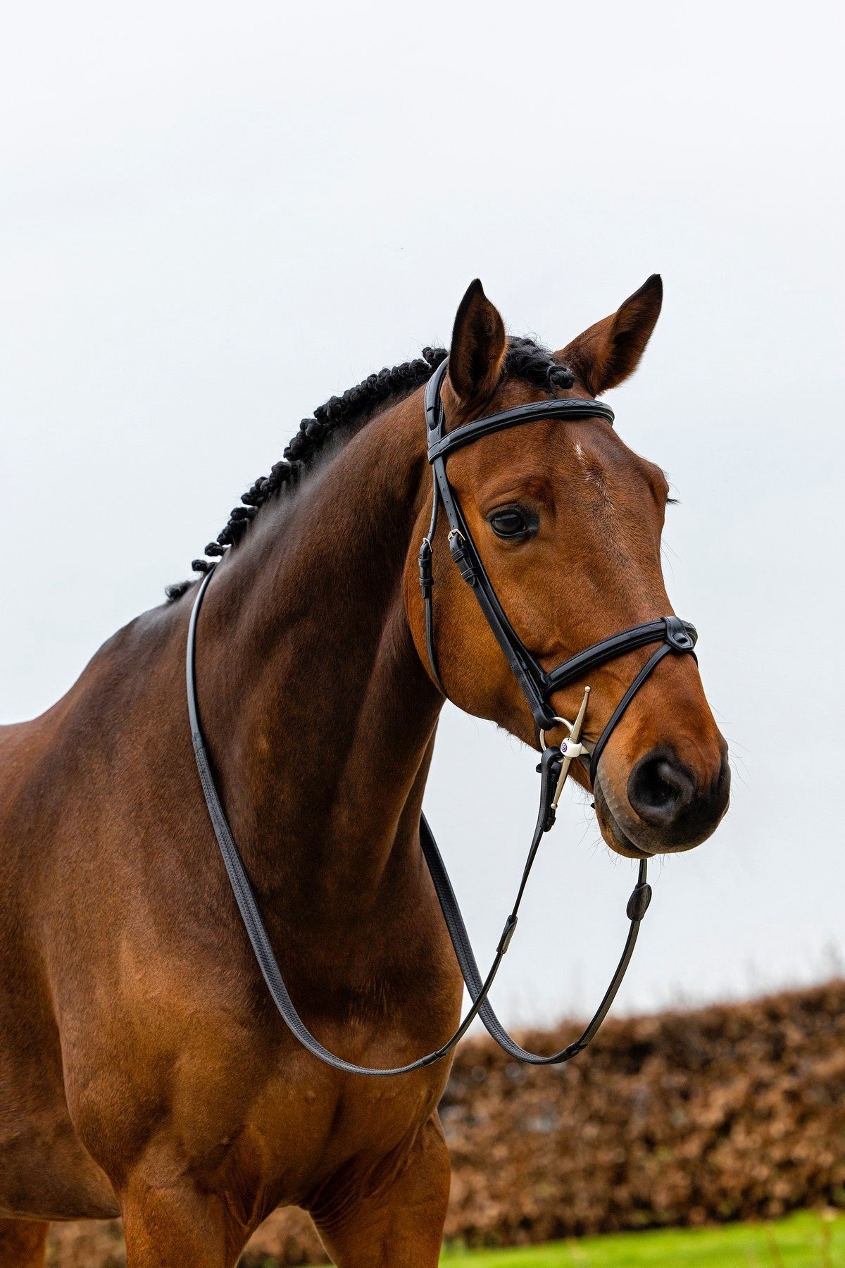 Trust Geneva Combined Noseband Hoofdstel Trenshoofdstellen - Maddelin Equestrian Trust