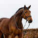 Trust Geneva Combined Noseband Hoofdstel Trenshoofdstellen - Maddelin Equestrian Trust