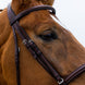 Trust Knokke Combined Noseband Hoofdstel Classic Trenshoofdstellen - Maddelin Equestrian Trust