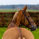 Trust Knokke Combined Noseband Hoofdstel Classic Trenshoofdstellen - Maddelin Equestrian Trust