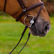 Trust Knokke Combined Noseband Hoofdstel Classic Trenshoofdstellen - Maddelin Equestrian Trust