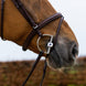 Trust Knokke Combined Noseband Hoofdstel Classic Trenshoofdstellen - Maddelin Equestrian Trust
