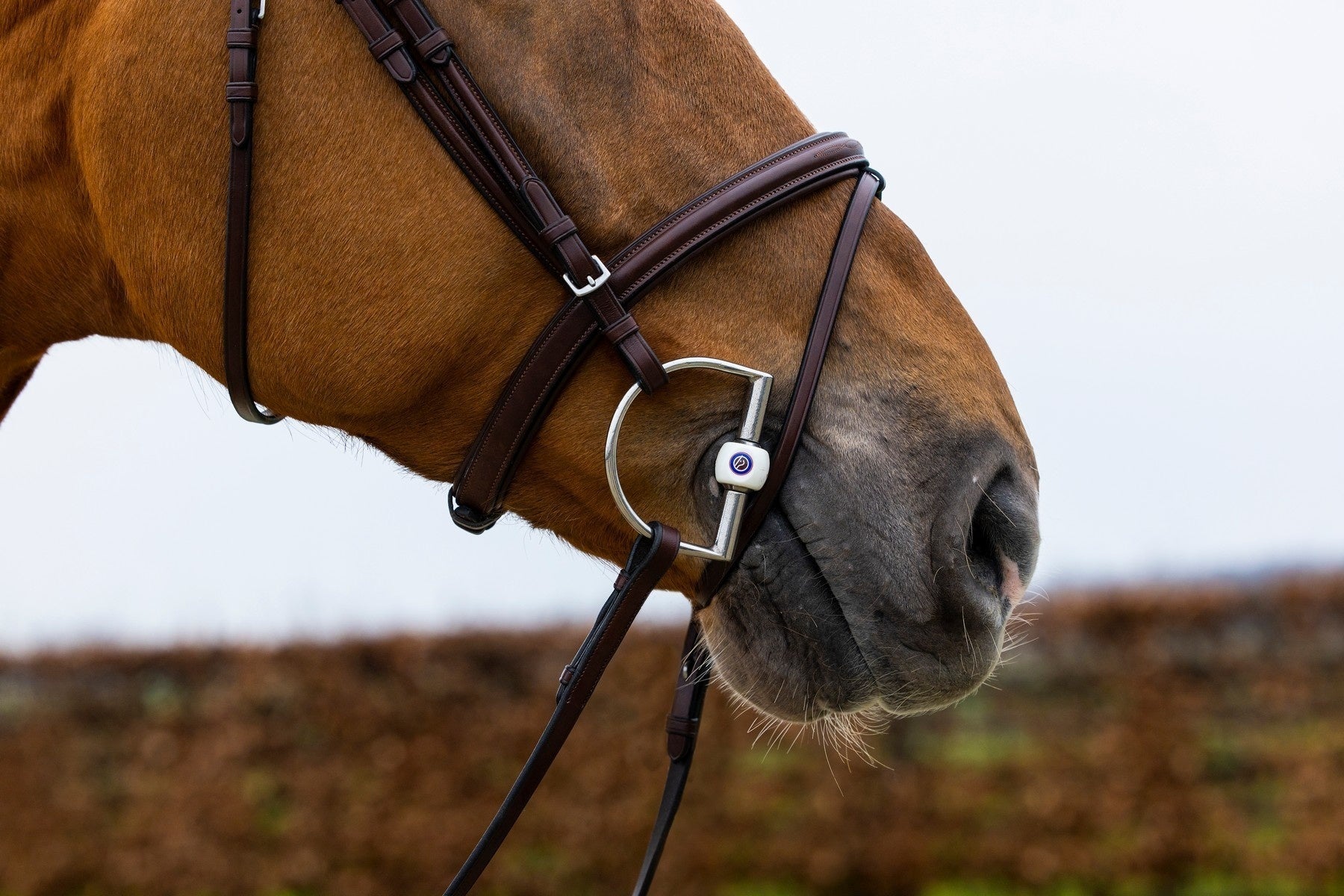 Trust Knokke Combined Noseband Hoofdstel Classic Trenshoofdstellen - Maddelin Equestrian Trust