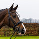 Trust Rotterdam Large Patent Crank Noseband Hoofdstel Trenshoofdstellen - Maddelin Equestrian Trust