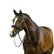Trust Rotterdam Large Patent Crank Noseband Hoofdstel Trenshoofdstellen - Maddelin Equestrian Trust
