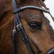 Trust Rotterdam Large Patent Crank Noseband Hoofdstel Trenshoofdstellen - Maddelin Equestrian Trust