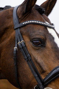 Trust Rotterdam Large Patent Crank Noseband Hoofdstel Trenshoofdstellen - Maddelin Equestrian Trust