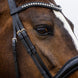 Trust Rotterdam Large Patent Crank Noseband Hoofdstel Trenshoofdstellen - Maddelin Equestrian Trust